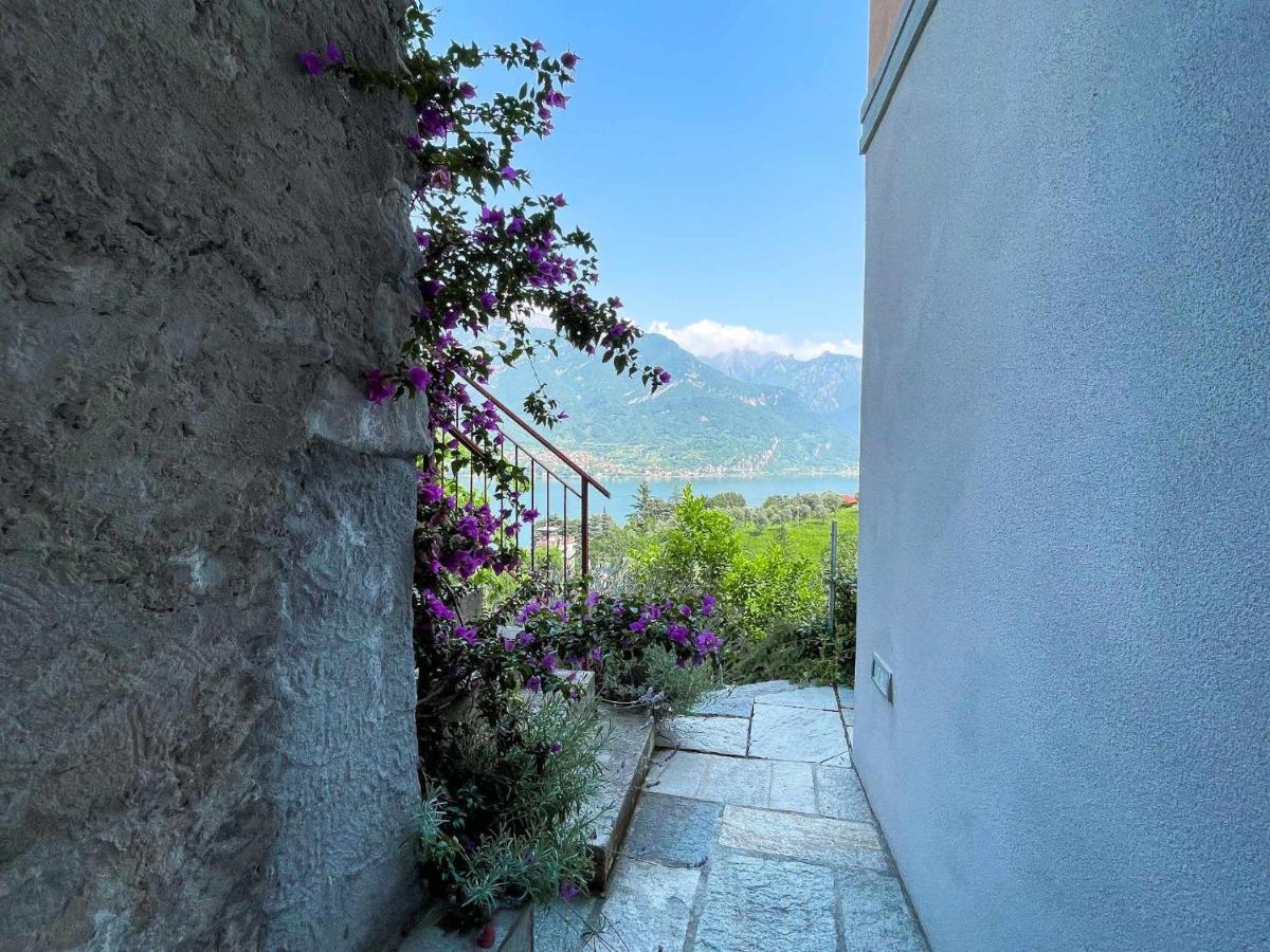 Antico Torchio Apartment Limonta Zewnętrze zdjęcie